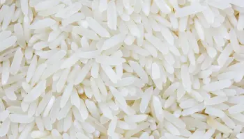 Basmati Rice